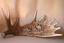 Wood & Bone